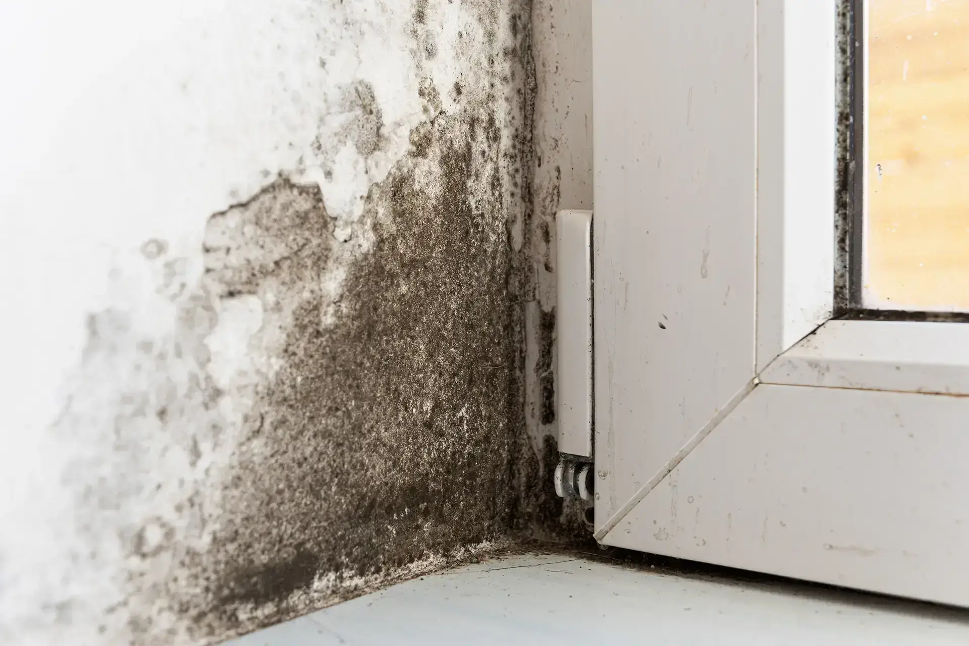 About StarPro Restoration LLC — Gilbert, AZ